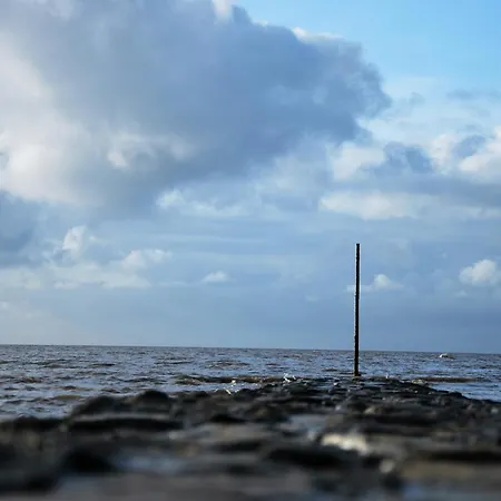 Apartamento Haus Am Muehlenpark Whg. 2